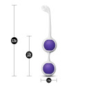 Тренировочный набор для вагины Wellness Kegel Training Kit