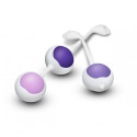 Тренировочный набор для вагины Wellness Kegel Training Kit