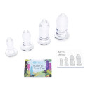 Набор тренировочных стеклянных плагов ANAL DILATORS SET