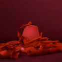 Вибрирующий красный бутон розы Rose Vibrator
