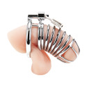 Металлическая клетка с замком для сексуальных пыток члена Deluxe Chastity Cage
